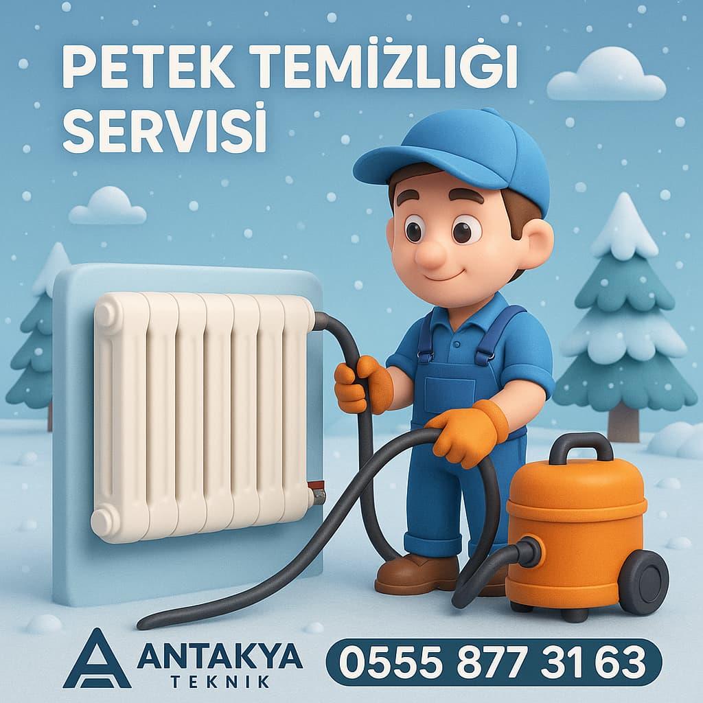 Antakya Petek Temizliği Servisi