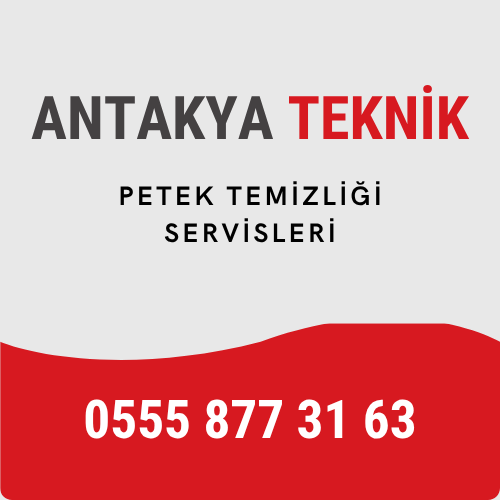 antakya petek temizliği servisi